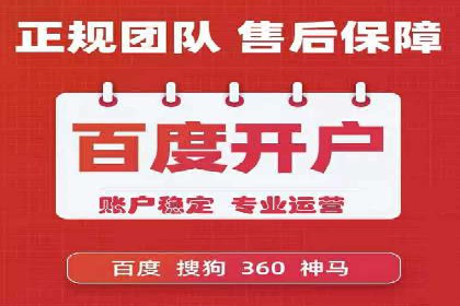 行业领先企业的SEM广告投放策略案例